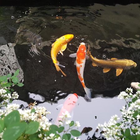 Vuon Tra Homestay Mang Den Kon Von Kla 외부 사진