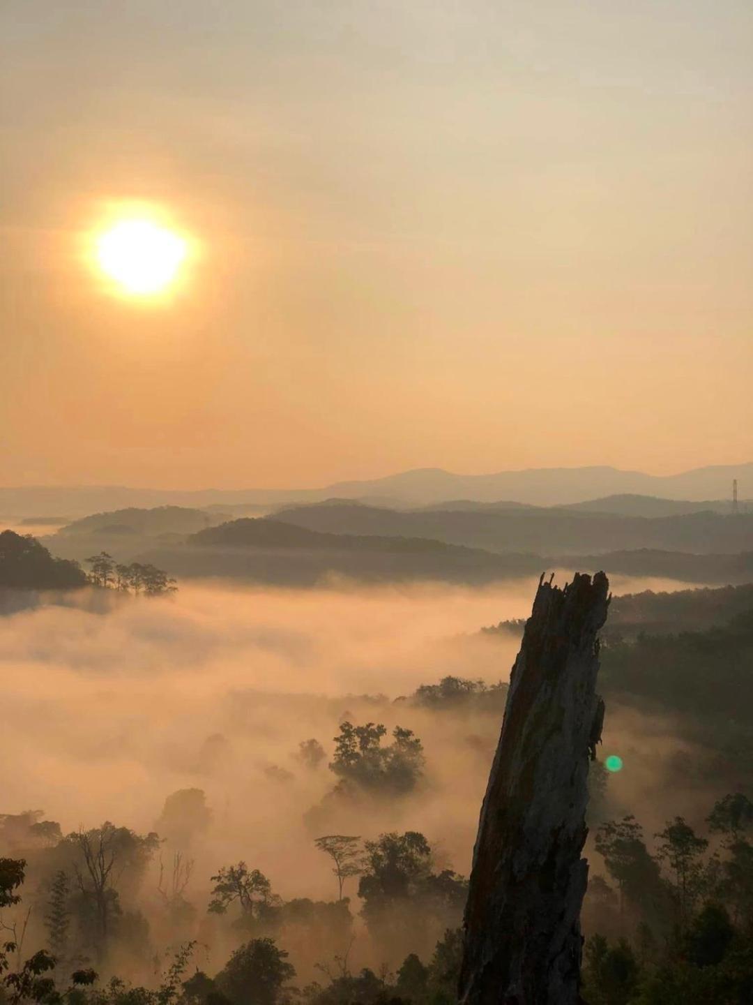 Vuon Tra Homestay Mang Den Kon Von Kla 외부 사진